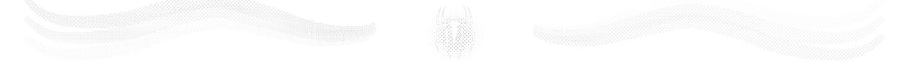 A white Spider-Verse-themed Spider divider.